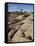 Typical Landscape, Joshua Tree National Park, California, United States of America, North America-James Hager-Framed Stretched Canvas