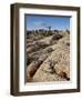 Typical Landscape, Joshua Tree National Park, California, United States of America, North America-James Hager-Framed Photographic Print