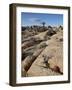 Typical Landscape, Joshua Tree National Park, California, United States of America, North America-James Hager-Framed Photographic Print