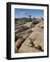 Typical Landscape, Joshua Tree National Park, California, United States of America, North America-James Hager-Framed Photographic Print