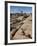 Typical Landscape, Joshua Tree National Park, California, United States of America, North America-James Hager-Framed Photographic Print