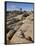 Typical Landscape, Joshua Tree National Park, California, United States of America, North America-James Hager-Framed Photographic Print