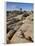 Typical Landscape, Joshua Tree National Park, California, United States of America, North America-James Hager-Framed Photographic Print