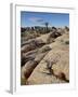 Typical Landscape, Joshua Tree National Park, California, United States of America, North America-James Hager-Framed Photographic Print