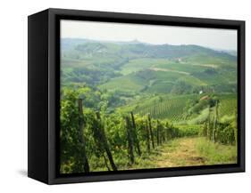 Typical Landscape of Vines in the Colli Piacentini, Piacenza, Emilia Romagna, Italy, Europe-Michael Newton-Framed Stretched Canvas