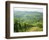 Typical Landscape of Vines in the Colli Piacentini, Piacenza, Emilia Romagna, Italy, Europe-Michael Newton-Framed Photographic Print