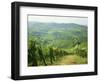 Typical Landscape of Vines in the Colli Piacentini, Piacenza, Emilia Romagna, Italy, Europe-Michael Newton-Framed Photographic Print