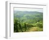 Typical Landscape of Vines in the Colli Piacentini, Piacenza, Emilia Romagna, Italy, Europe-Michael Newton-Framed Photographic Print