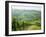 Typical Landscape of Vines in the Colli Piacentini, Piacenza, Emilia Romagna, Italy, Europe-Michael Newton-Framed Photographic Print