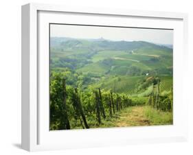 Typical Landscape of Vines in the Colli Piacentini, Piacenza, Emilia Romagna, Italy, Europe-Michael Newton-Framed Photographic Print
