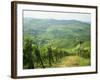 Typical Landscape of Vines in the Colli Piacentini, Piacenza, Emilia Romagna, Italy, Europe-Michael Newton-Framed Photographic Print