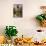 Typical Moroccan Architecture, Riad Adobe Walls, Fountain and Flower Pots, Morocco, Africa-Guy Thouvenin-Mounted Photographic Print displayed on a wall