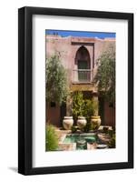 Typical Moroccan Architecture, Riad Adobe Walls, Fountain and Flower Pots, Morocco, Africa-Guy Thouvenin-Framed Photographic Print