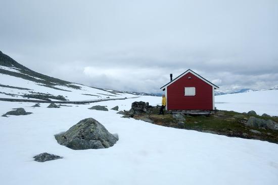 Photo, , large