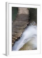 Typical Plank Path, Plitvice Lakes, Plitvicka Jezera, Croatia-Martin Zwick-Framed Photographic Print