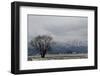 Typical pre-alpine scenery close Murnau in winter, Bavaria, Germany-Seepia Fotografie-Framed Photographic Print