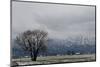 Typical pre-alpine scenery close Murnau in winter, Bavaria, Germany-Seepia Fotografie-Mounted Photographic Print