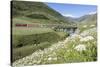 Typical red Swiss train on Hospental Viadukt surrounded by creek and blooming flowers, Andermatt, C-Roberto Moiola-Stretched Canvas