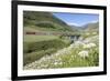 Typical red Swiss train on Hospental Viadukt surrounded by creek and blooming flowers, Andermatt, C-Roberto Moiola-Framed Photographic Print