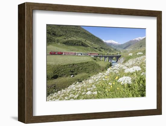 Typical red Swiss train on Hospental Viadukt surrounded by creek and blooming flowers, Andermatt, C-Roberto Moiola-Framed Photographic Print