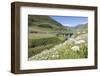 Typical red Swiss train on Hospental Viadukt surrounded by creek and blooming flowers, Andermatt, C-Roberto Moiola-Framed Photographic Print