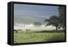 Typical Rural View West of the Pennine-James Emmerson-Framed Stretched Canvas