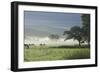 Typical Rural View West of the Pennine-James Emmerson-Framed Photographic Print