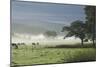 Typical Rural View West of the Pennine-James Emmerson-Mounted Photographic Print