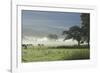 Typical Rural View West of the Pennine-James Emmerson-Framed Photographic Print