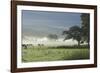 Typical Rural View West of the Pennine-James Emmerson-Framed Photographic Print