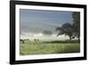 Typical Rural View West of the Pennine-James Emmerson-Framed Photographic Print