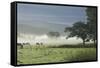 Typical Rural View West of the Pennine-James Emmerson-Framed Stretched Canvas