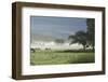 Typical Rural View West of the Pennine-James Emmerson-Framed Photographic Print