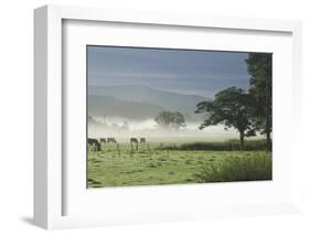 Typical Rural View West of the Pennine-James Emmerson-Framed Photographic Print