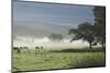 Typical Rural View West of the Pennine-James Emmerson-Mounted Photographic Print