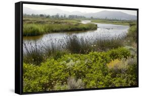 Typical Sardinian Landscape, Water Pond and Mountains in the Background, Costa Degli Oleandri-Guy Thouvenin-Framed Stretched Canvas