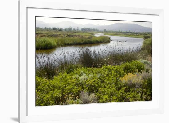 Typical Sardinian Landscape, Water Pond and Mountains in the Background, Costa Degli Oleandri-Guy Thouvenin-Framed Photographic Print