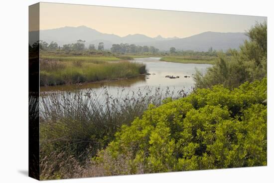 Typical Sardinian Landscape, Water Pond and Mountains in the Background, Costa Degli Oleandri-Guy Thouvenin-Stretched Canvas