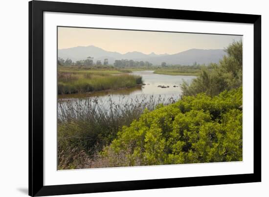 Typical Sardinian Landscape, Water Pond and Mountains in the Background, Costa Degli Oleandri-Guy Thouvenin-Framed Photographic Print