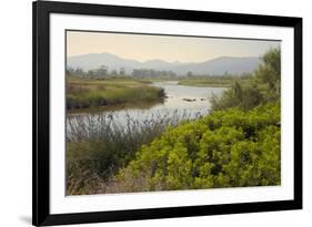 Typical Sardinian Landscape, Water Pond and Mountains in the Background, Costa Degli Oleandri-Guy Thouvenin-Framed Photographic Print