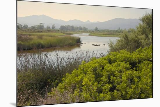 Typical Sardinian Landscape, Water Pond and Mountains in the Background, Costa Degli Oleandri-Guy Thouvenin-Mounted Photographic Print