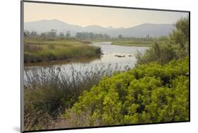 Typical Sardinian Landscape, Water Pond and Mountains in the Background, Costa Degli Oleandri-Guy Thouvenin-Mounted Photographic Print