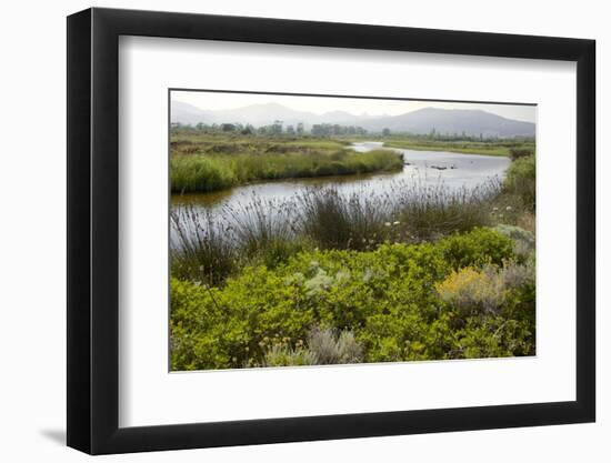 Typical Sardinian Landscape, Water Pond and Mountains in the Background, Costa Degli Oleandri-Guy Thouvenin-Framed Photographic Print