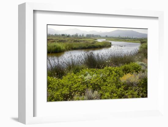 Typical Sardinian Landscape, Water Pond and Mountains in the Background, Costa Degli Oleandri-Guy Thouvenin-Framed Photographic Print