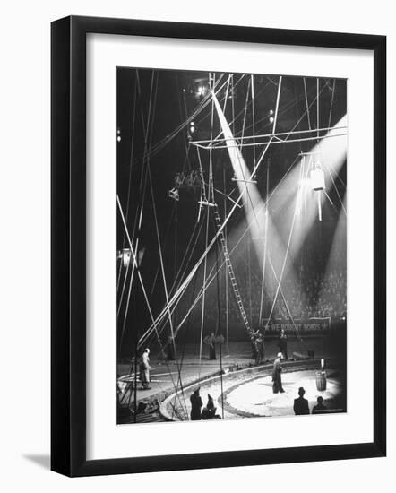 Typical Scene at Circus-Marie Hansen-Framed Photographic Print