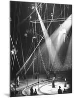 Typical Scene at Circus-Marie Hansen-Mounted Photographic Print