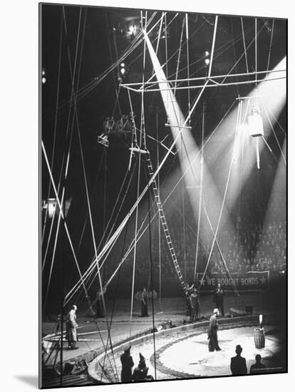Typical Scene at Circus-Marie Hansen-Mounted Photographic Print