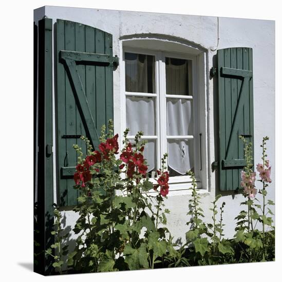 Typical Scene of Shuttered Windows and Hollyhocks, St. Martin, Ile de Re, Poitou-Charentes, France-Stuart Black-Stretched Canvas