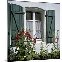 Typical Scene of Shuttered Windows and Hollyhocks, St. Martin, Ile de Re, Poitou-Charentes, France-Stuart Black-Mounted Photographic Print