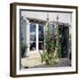 Typical Scene of Shuttered Windows and Hollyhocks, St. Martin, Ile de Re, Poitou-Charentes, France-Stuart Black-Framed Photographic Print